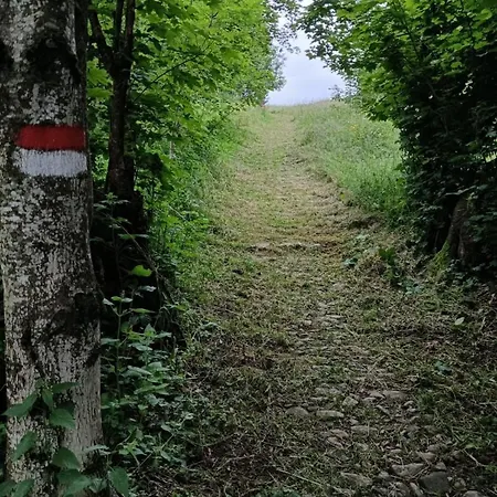 Lodge Park Collio